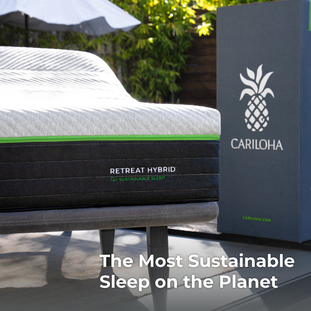 the most sustainable sleep on the planet~Twin