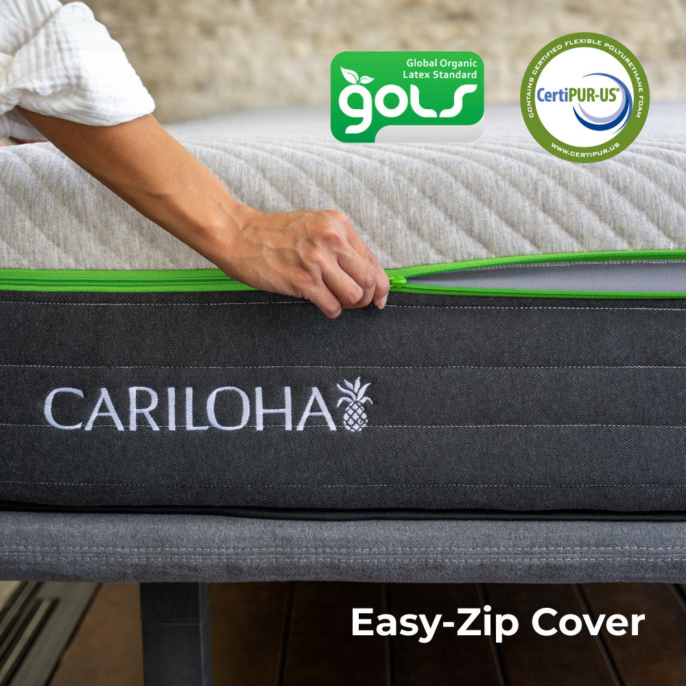 Easy zip cover~Twin