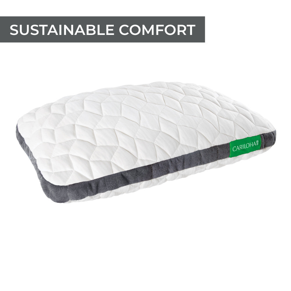 sustainable comfort