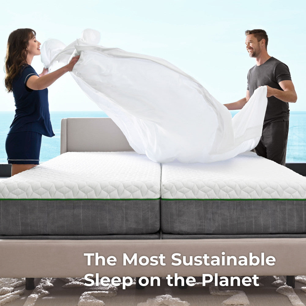 the most sustainable sleep on the planet