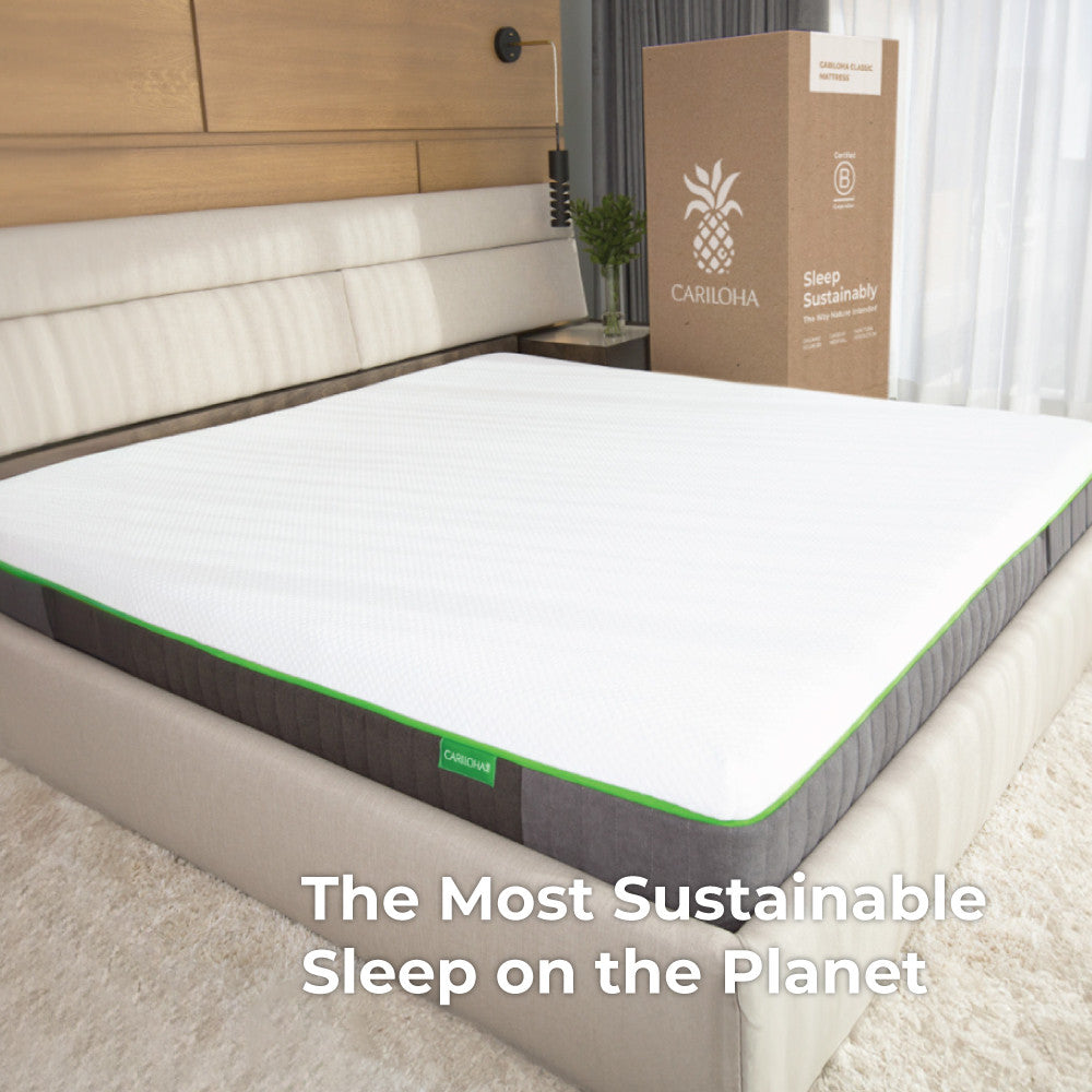 the most sustainable sleep on the planet~Twin