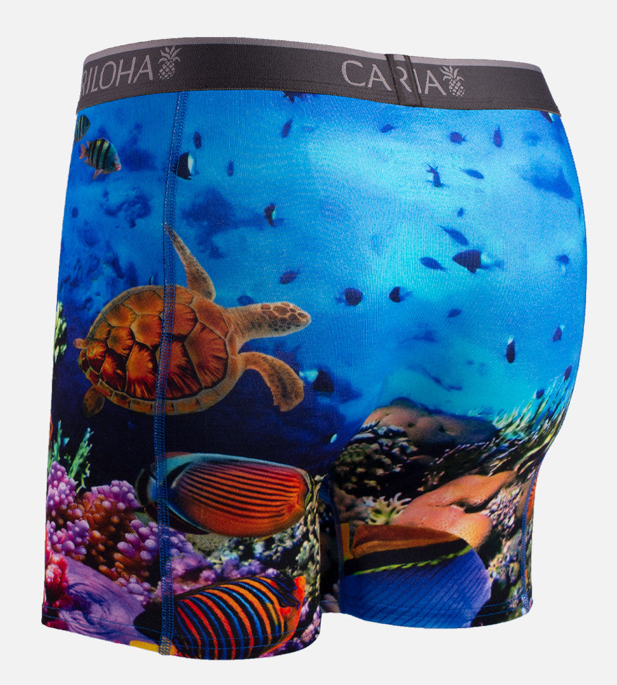 back of ocean scene boxers