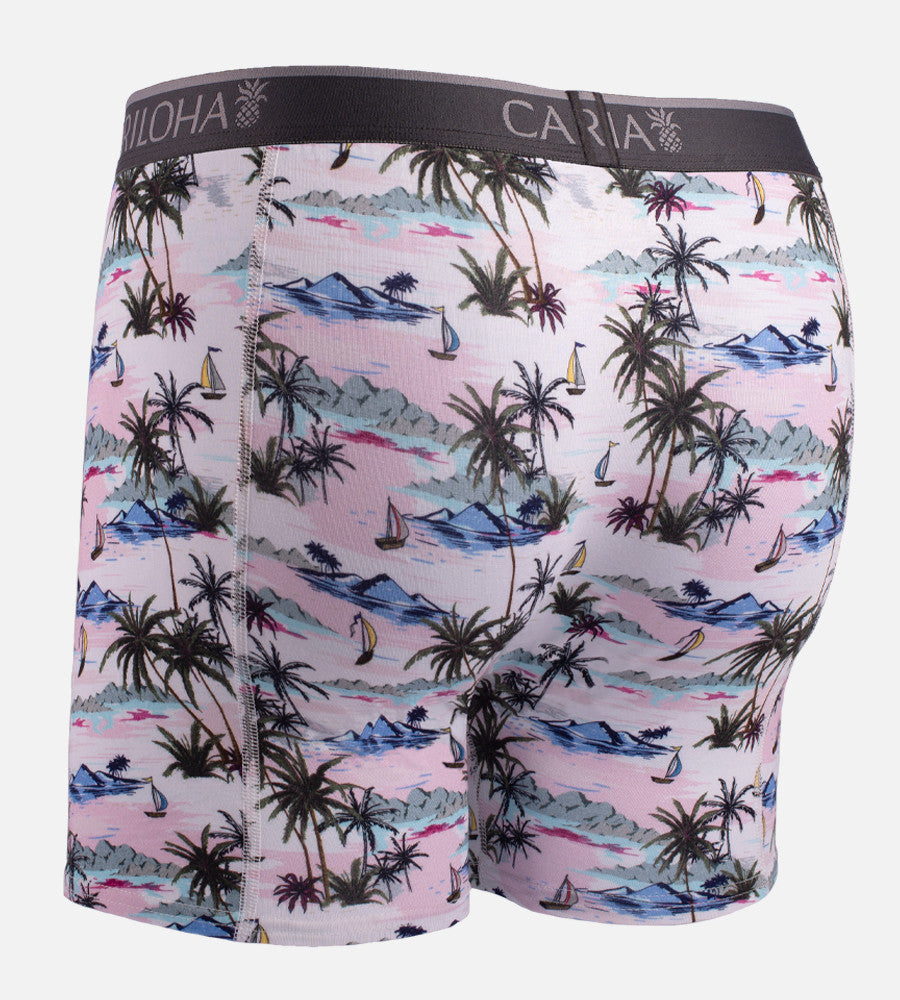 back view of vintage beach print boxers