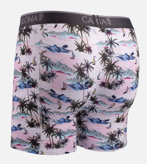 back view of vintage beach print boxers