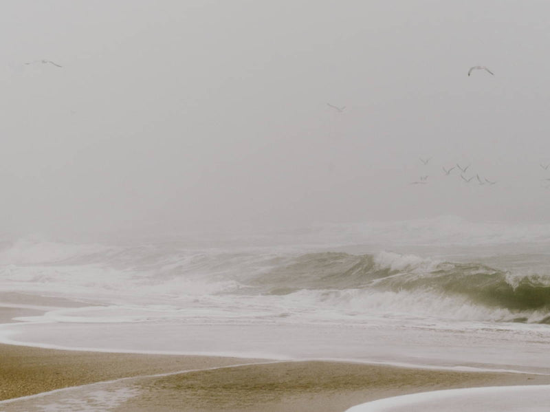 A beachscape on an overcast day